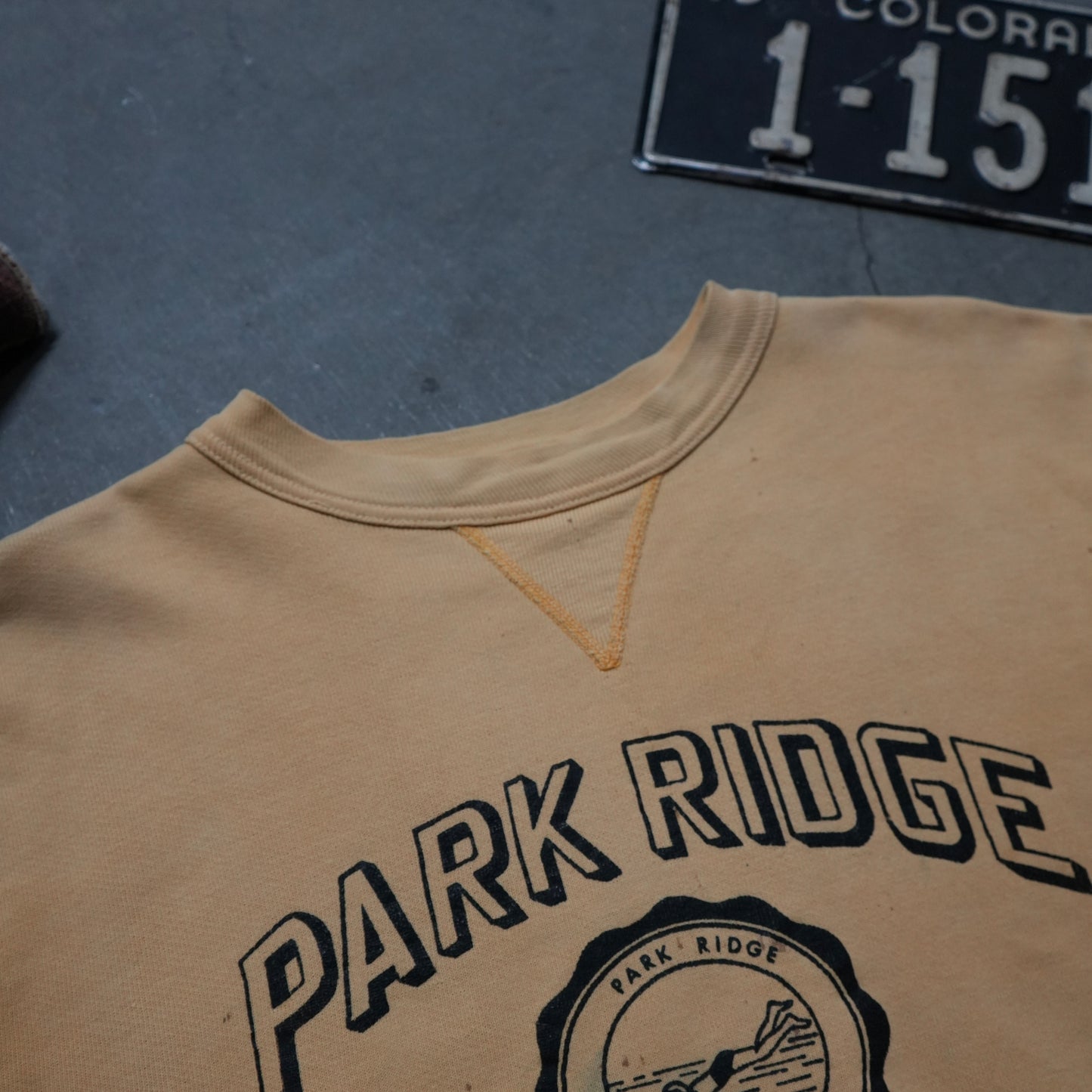 60s park ridge swim team sweat