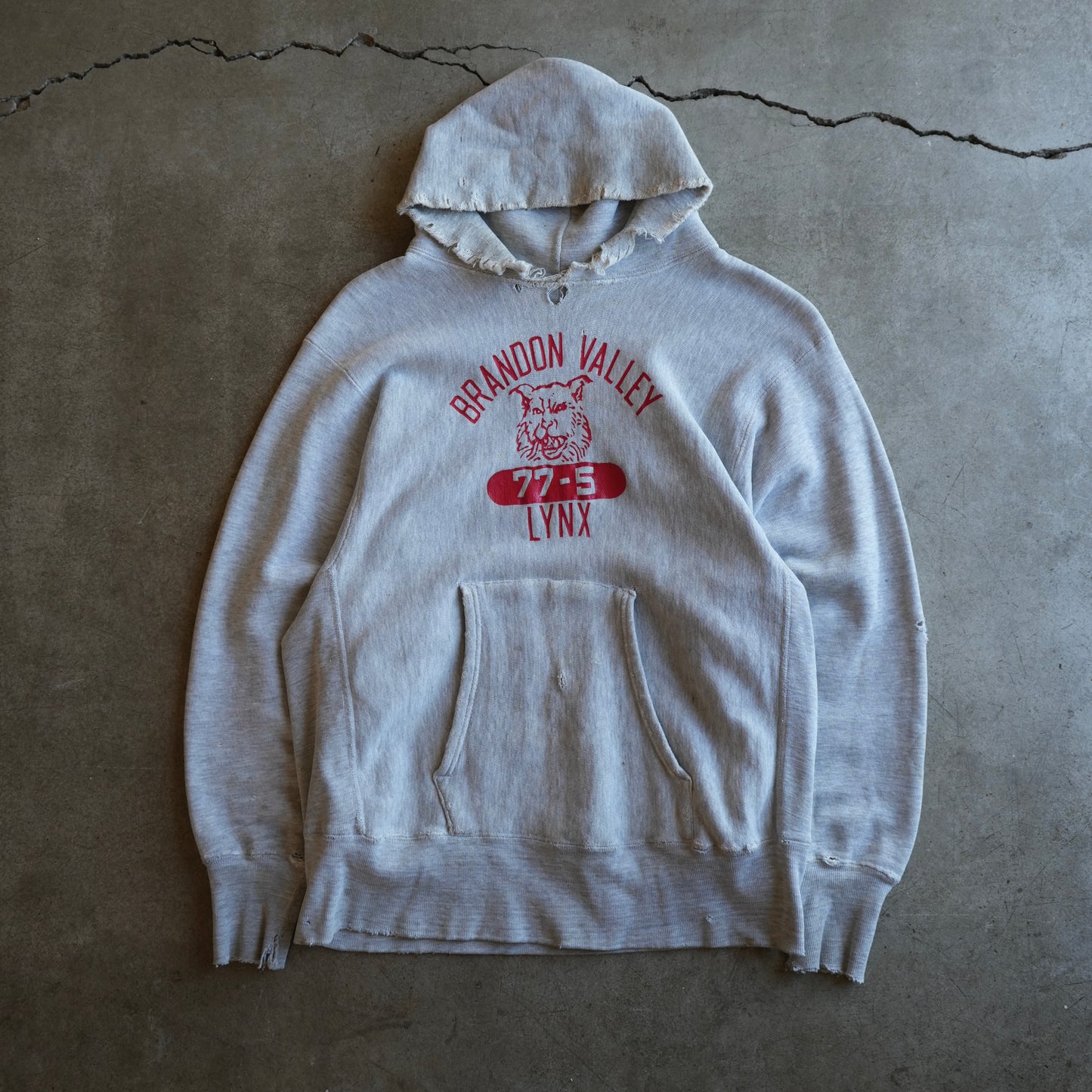 70s champion reverse weave hoodie