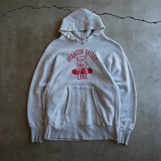 70s champion reverse weave hoodie