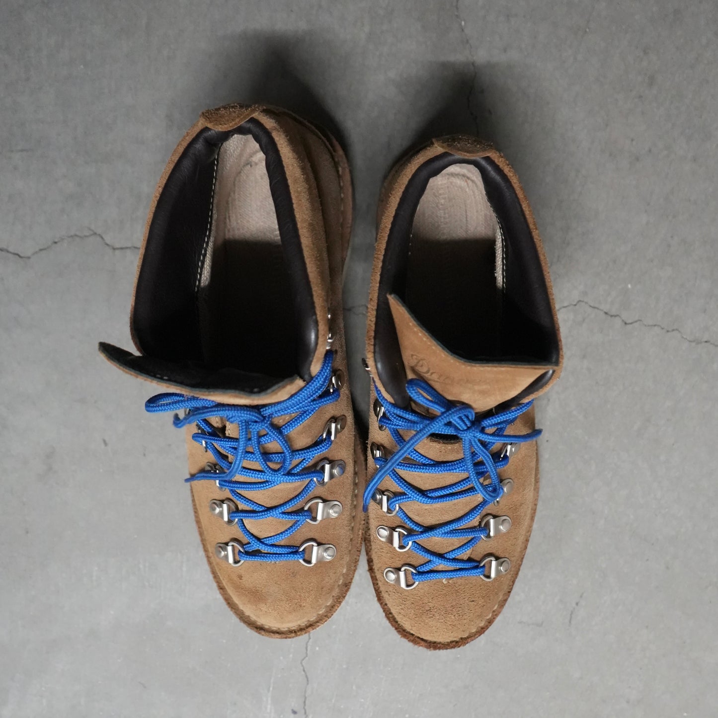 Danner mountain light boot
