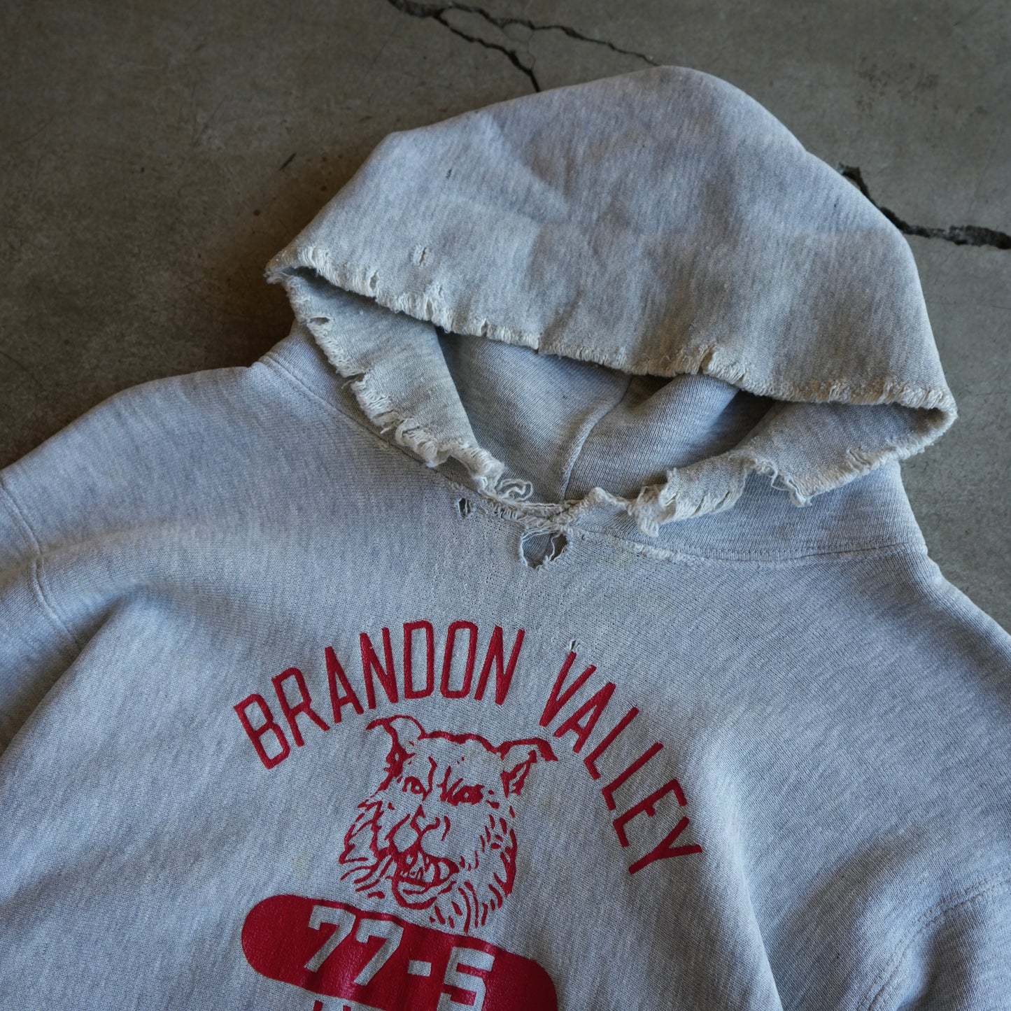 70s champion reverse weave hoodie