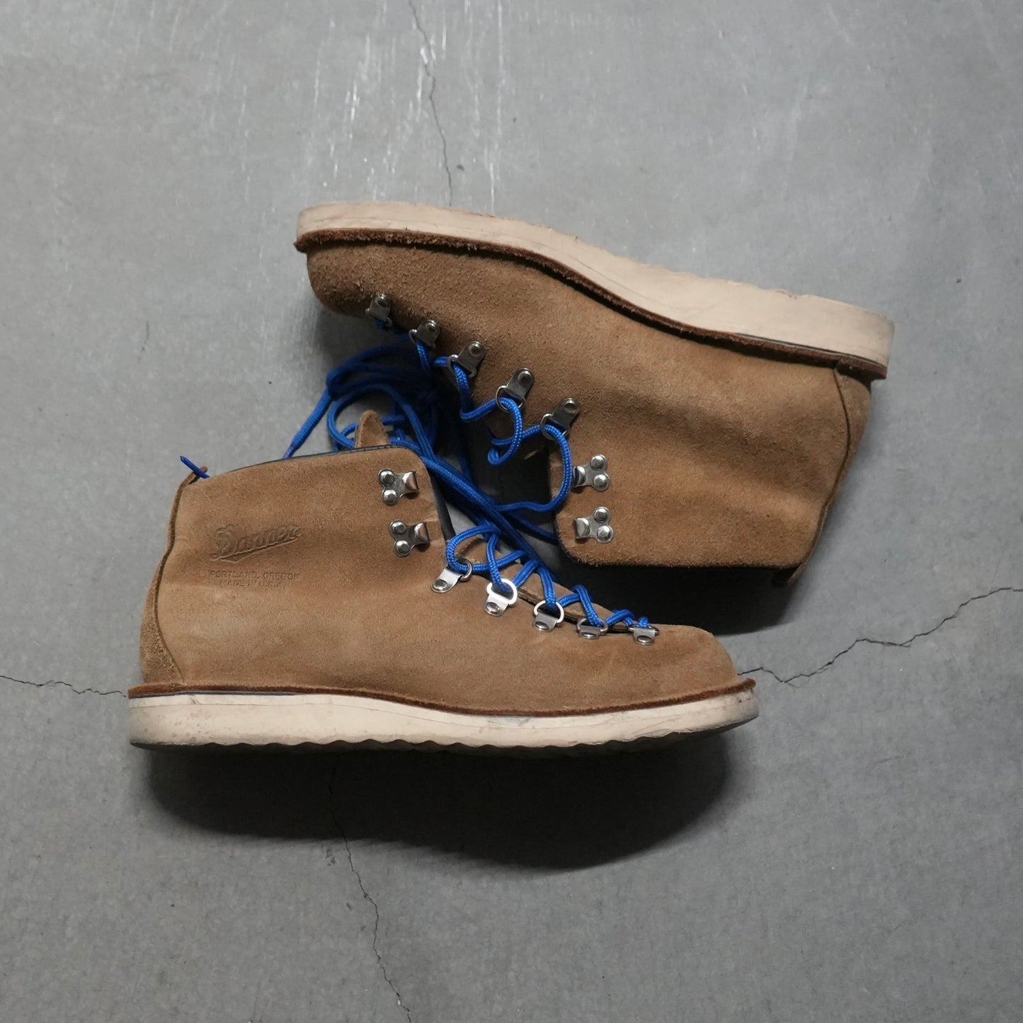 Danner mountain light boot