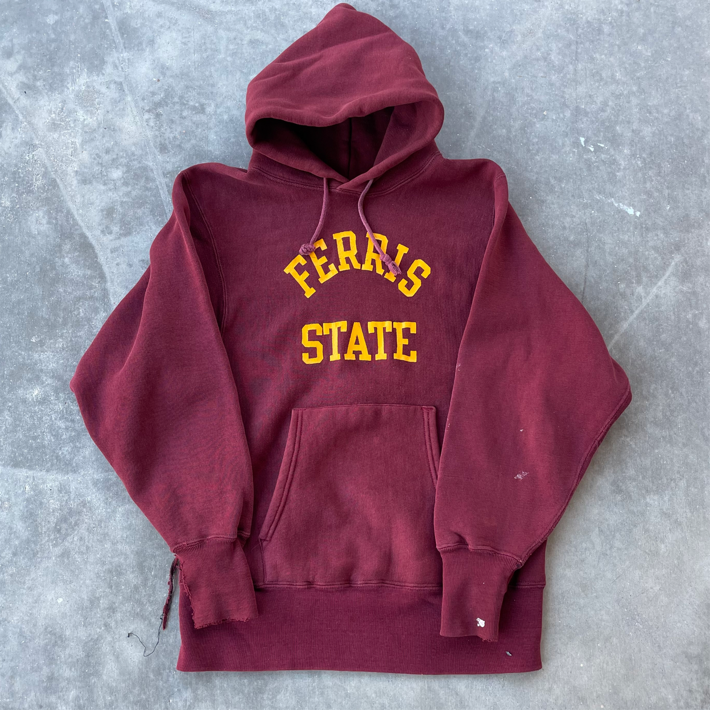 70’s Ferris State Single Color Champion Reverse Weave Hoodie